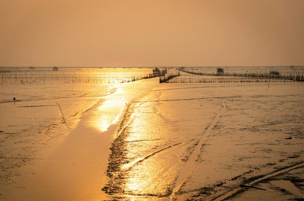 Explore British Fashion History: Essential Guided Tours and Iconic Locations