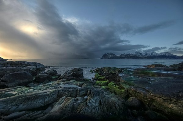 Embark on a flavor journey: your ultimate guide to securing an exclusive whisky tasting at a scottish distillery